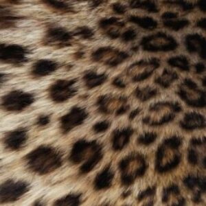 Profile photo of Lola_brls21